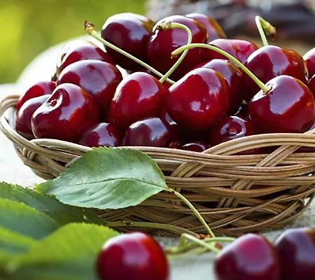 펜션 Casa De Pueblo Ca Paco Planes