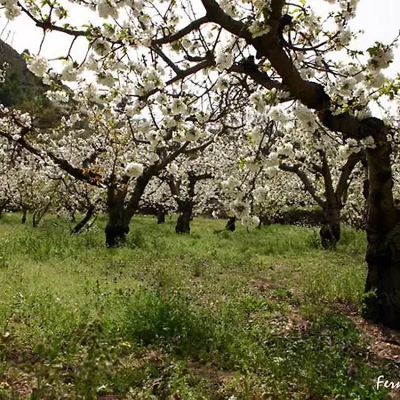 Casa De Pueblo Ca Paco Planes