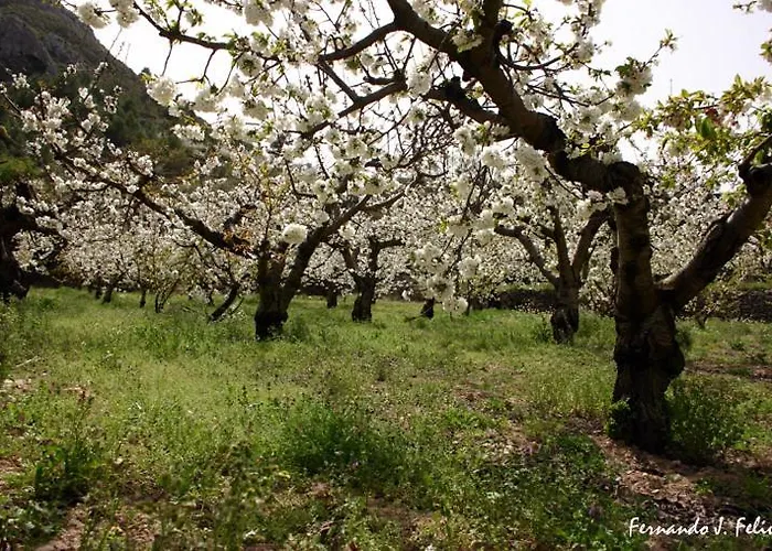 Casa De Pueblo Ca Paco Planes